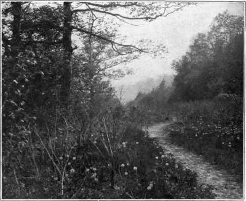 Illustration No. 72   See Paragraph No. 654