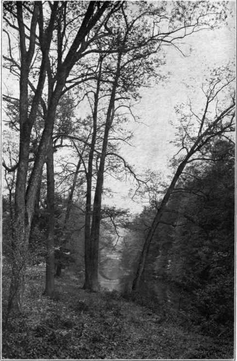 Illustration No. 78 A Pleasing Landscape Study See Paragraph No. 662