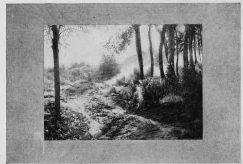 MORNING LIGHTS AND SHADOWS Study No. 3, See Page 343 J. H. Field, Berlin, Wis.