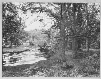 NEEDLE HOLE LANDSCAPE Study No. 46   See Page 315 By G. H. Paine