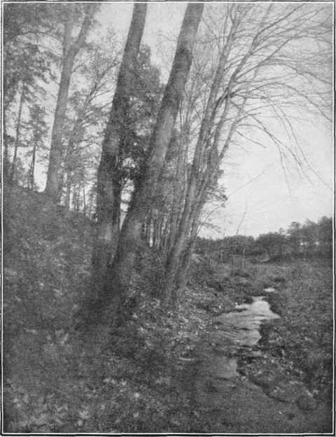 OCTOBER DAY (PINHOLE) Study No. 47   See Page 315 By C. F. Clark