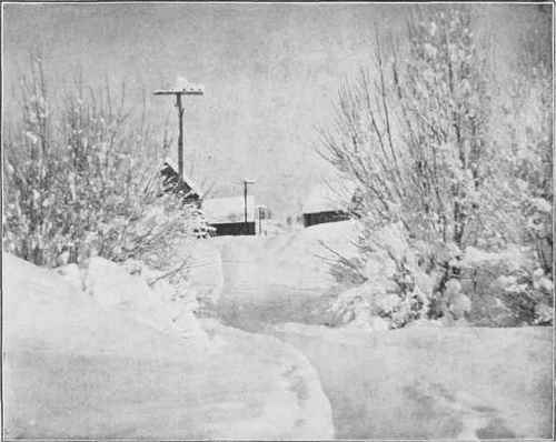 SNOW SCENE Study No. 18   See Page 312 By W. A. Wilson