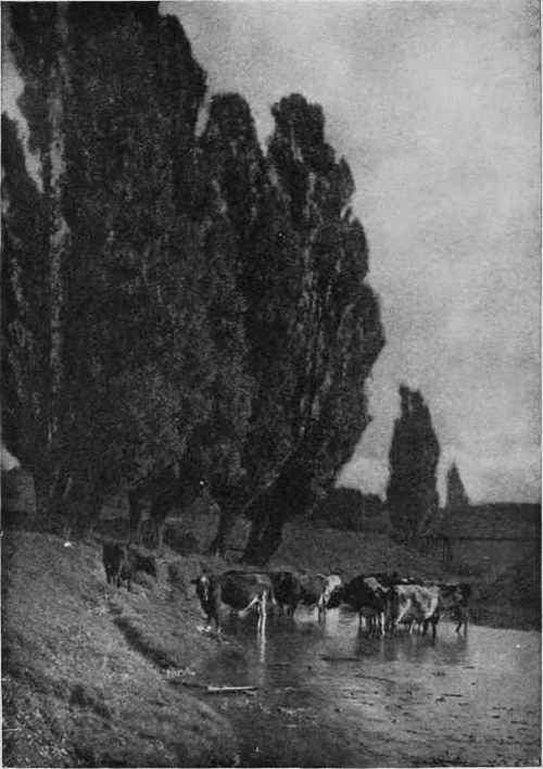 THE RETURNING HERD Study No. 1 (Frontispiece) By John M. Schreck