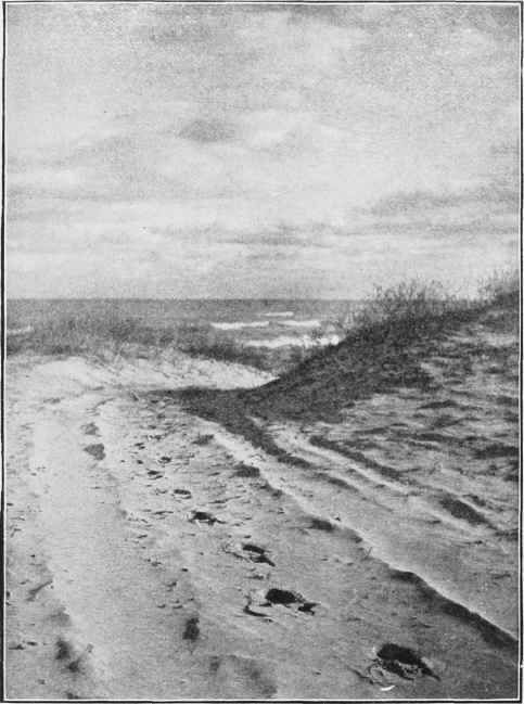 THE ROAD IN THE SAND Study No. 45   See Page 309 By Geo. H. Scheer, M. D.