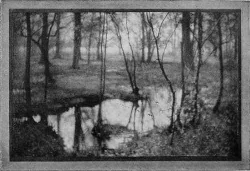 WOODS IN SPRINGTIME Study No. 6 See Page 385 By W. H. Porterfield