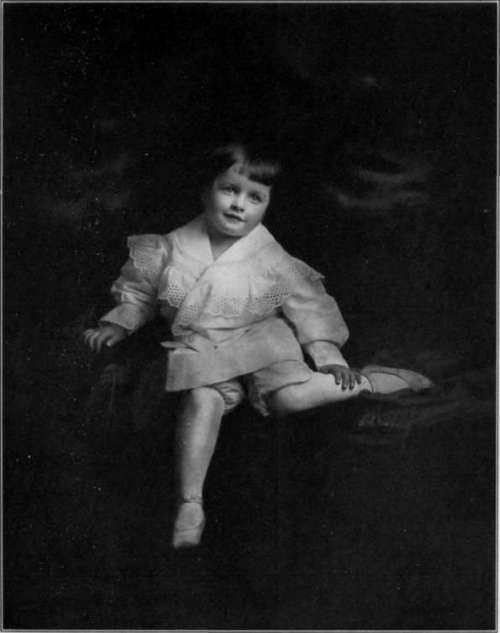From An Artura Iris Print By Melvin H. Sykes Chicago, Ill.