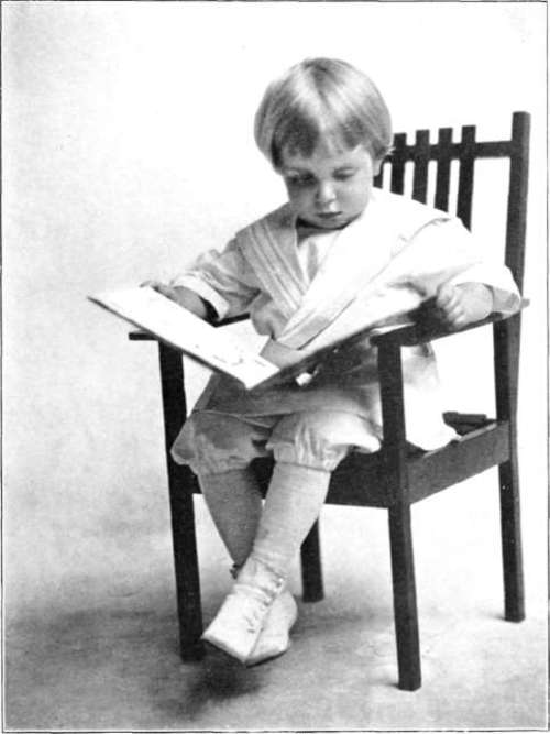 From An Artura Iris Print By A. M. Wilson Brockton, Mass.