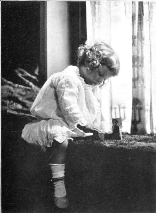 From An Artura Iris Print By A. M. Wilson.