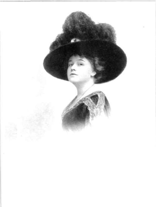 From An Artura Iris Print By W. M. Stephenson Atlanta, Ga.