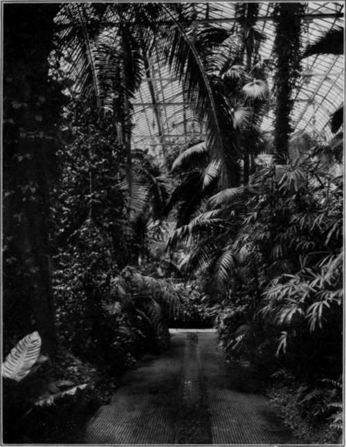 Film Results StudioLightMagazine1914 275