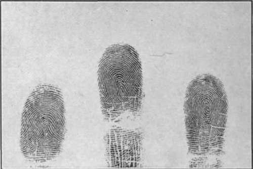 Finger Print Camera Photograph, exact size.