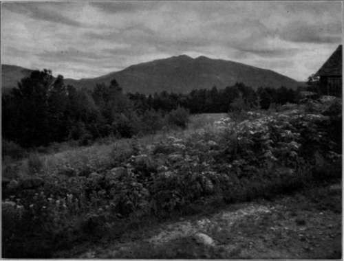 Eastman Commercial Ortho Film Negative, Artura Print By Chas. A. Townsend Belfast, Maine.