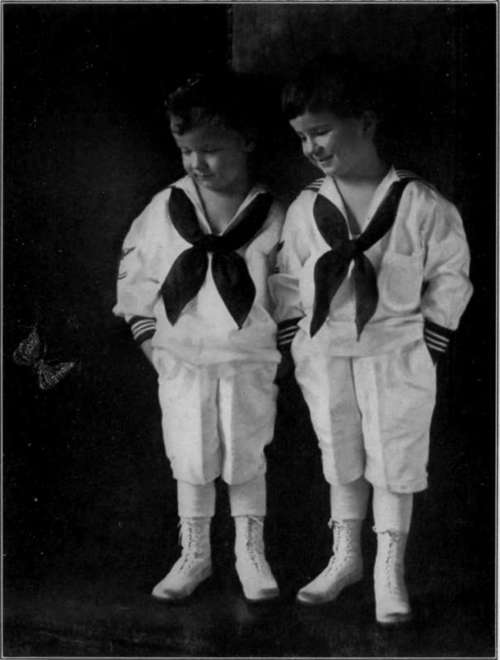 From An Artura Iris Print By Mrs. Emma Hilton New York, N. Y.