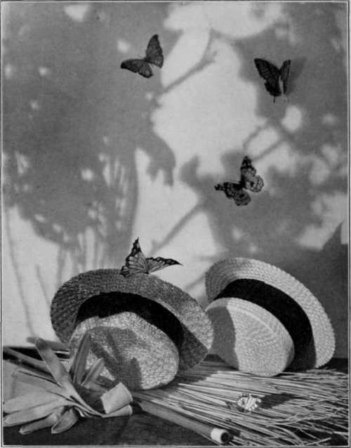Taking The Studio To The Customer StudioLightMagazine1923 159