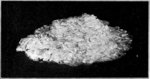 Fig. 35. Crystals of Silver Nitrate.