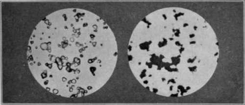 Fig. 37. Crystals of Silver Bromide before (left) and after (right)