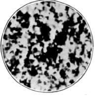 Fig. 42. Appearance of Emulsion After Development When Magnified.