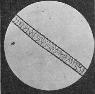 Fibers And Their Production 9