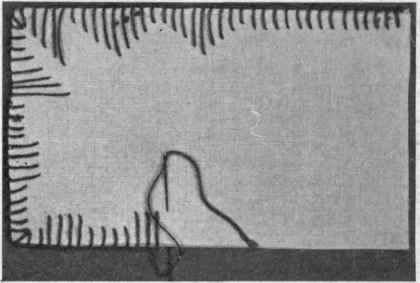 Fig. 239.   Blanket stitch, detail.