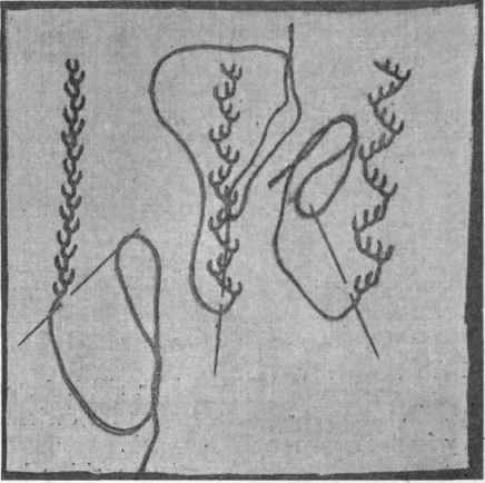 Fig. 241.   Feather, briar or coral stitch.