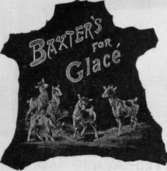 Baxter's For Glace Kids
