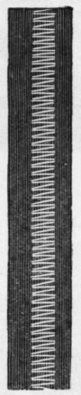 Fig. 215B.