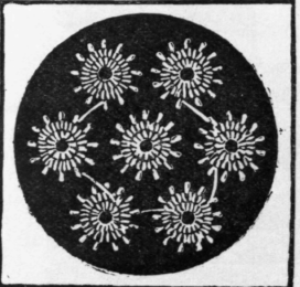 Fig. 216.