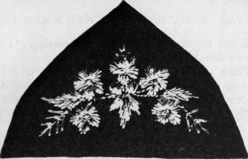Fig. 217.