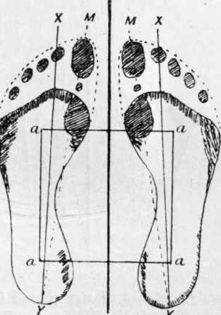 Fig 35 Four   Square Position Of Standing