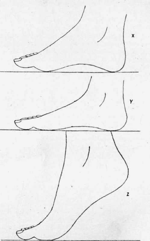 Fig. 42