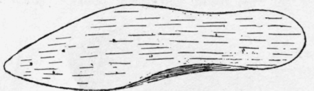 Fig. 93.