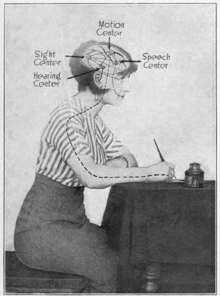 Diagram Showing The Four Chief Association Centers Of The Human Brain