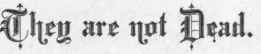 Brief Epitaphs 738