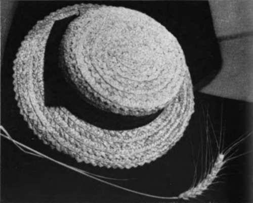 Straw Braids