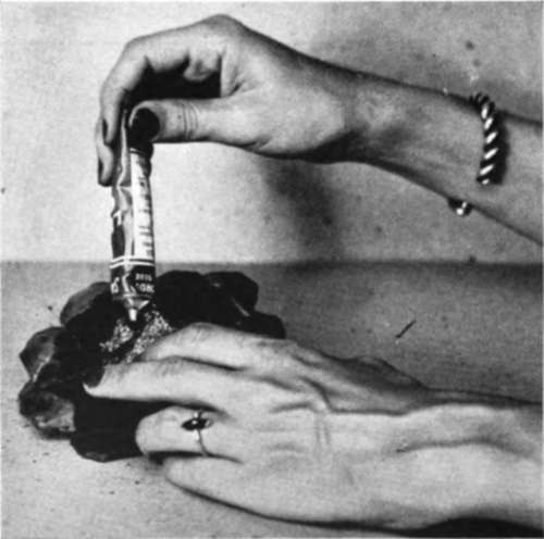 Fill the back of the pine cone