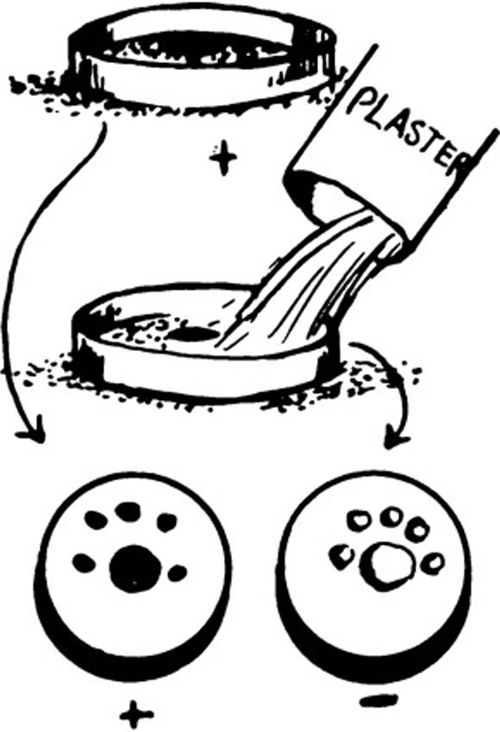Casting Animal Tracks 49