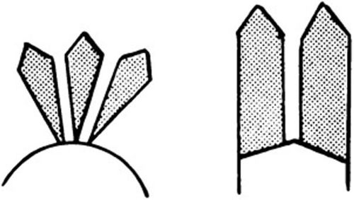 EAGLE FEATHERS Chief