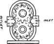Section of Gear Pump.