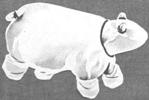 Polar Bear