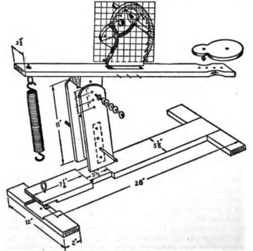 Adjustable Heavy Duty Muscle Builder