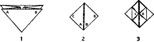 Folded Into The Wing