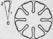 Eight Leaved Rosettes 72