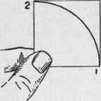 Method Of Presentation 8