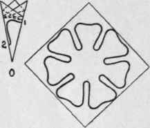 The Seven Leaved Rosette 127