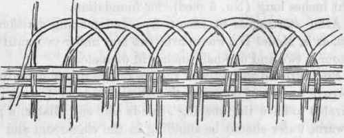 Border II.