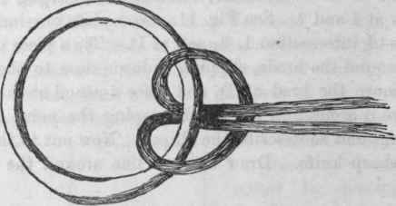 Fig. 13. Detail of Covered Ring.