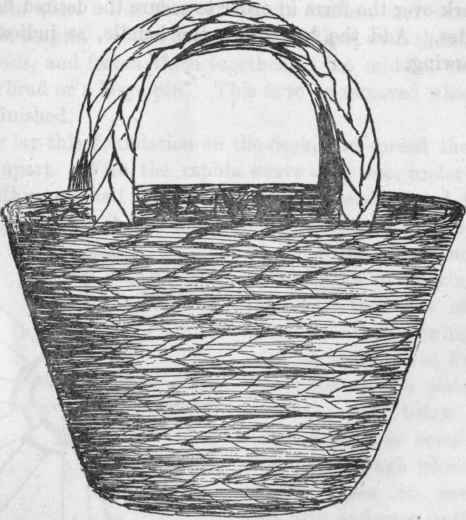 Model XX. Shopping Bag.