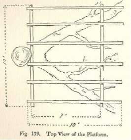Fig. 139. Top View of the Platform.