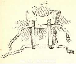 Fig. 213. Pack Harness.