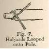 Fig. 7. Halyards Looped onto Pole.